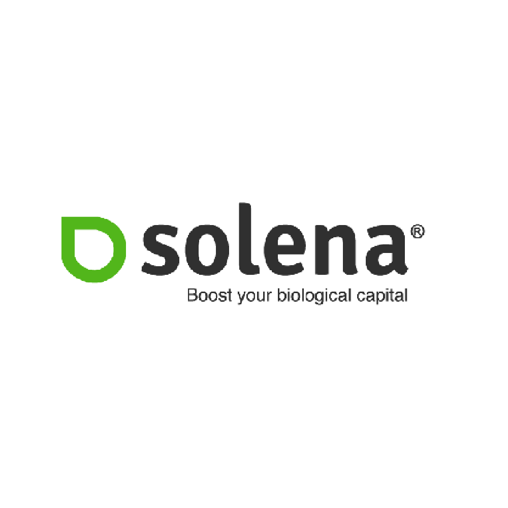 s solena